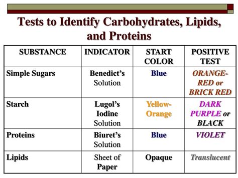 Test for Lipids and Proteins (A.